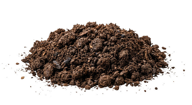 Pile of Rich Organic Soil Isolated on White Background - Natural Earth Texture