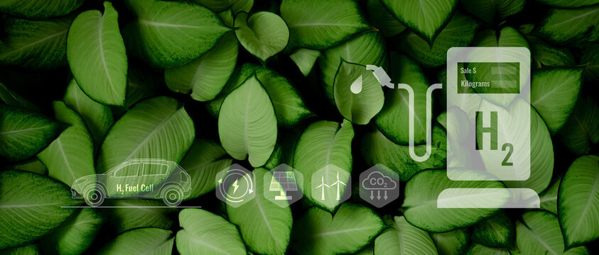 Green hydrogen. Sustainable renewable energy. Hydrogen Fuel cell vehicle. Zero emission car. Future energy. Green technology. Sun and wind energy for green hydrogen power generation. Hydrogen economy.