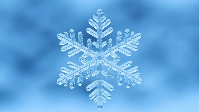Macro Close-up of a perfectly formed natural snowflake crystal structure on a clear blue background, symbolizing winter, cold, and crystalline beauty.