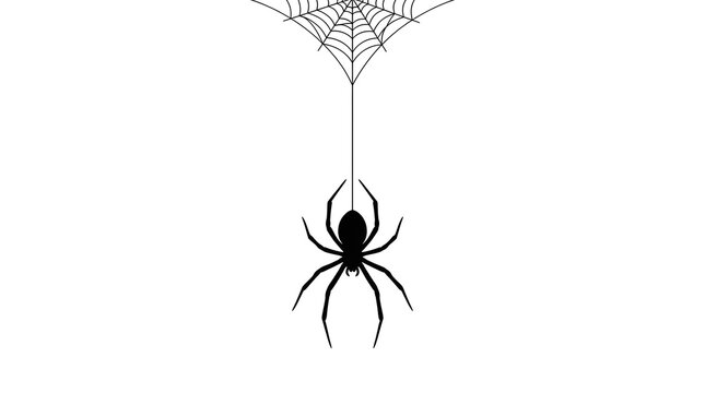 Black spider hanging from a spider web