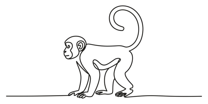 Minimalist continuous line art of a cute monkey standing