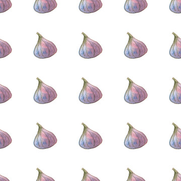 seamless pattern of watercolor figs hand drawn on white background
