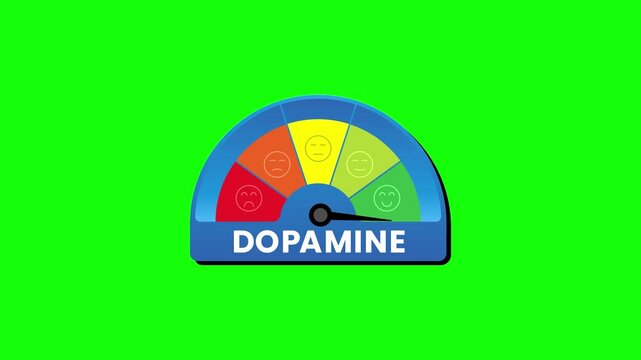 Animated Dopamine Level Indicator Gauge with Colorful Display on Green screen Background.