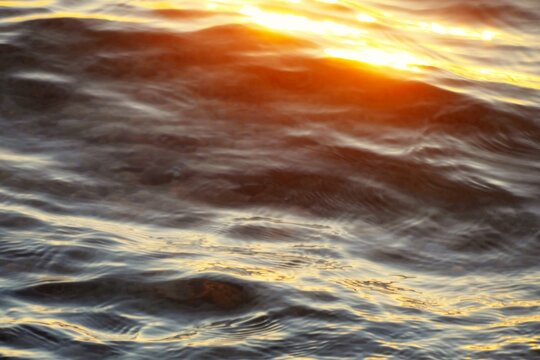 Golden wave in motion with sun reflection in beautiful sunset summer water background
