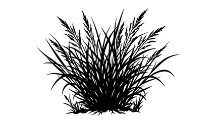 Fototapeta premium CAD tree lines Black silhouette grass Black grass silhouette vector, wild meadow plant tuft, botanical garden weed illustration, decorative field grass bush for landscape design isolated on