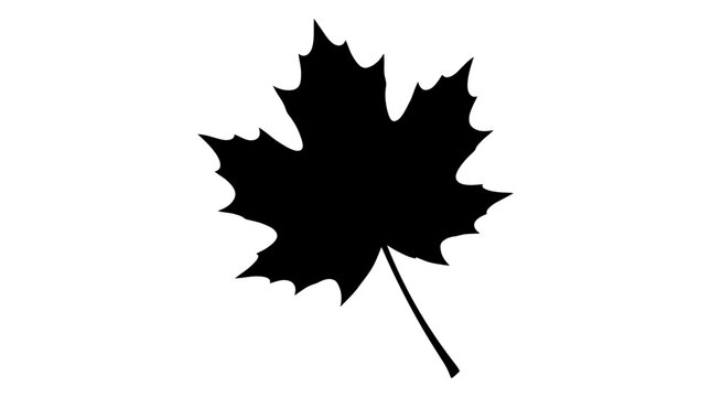 CAD tree lines Black silhouette grass Maple leaf silhouette vector, black autumn foliage icon, minimalist maple leaf shape for fall seasonal branding and nature logos isolated on White