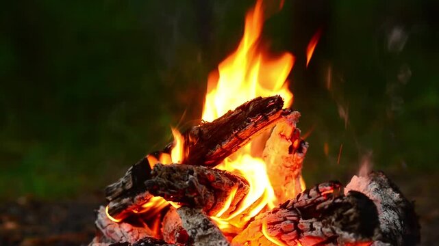 Cinematic dancing campfire flames in dusk forest seamless loop video background with authentic crackling wood fire audio sound and wild birds singing for lofi hip hop, sleep, ASMR.