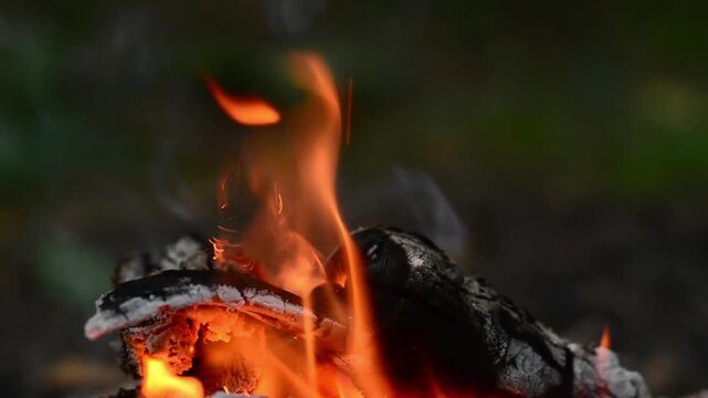 Cinematic dancing campfire flames in dusk forest seamless loop video background with authentic crackling wood fire audio sound and wild birds singing for lofi hip hop, sleep, ASMR. 