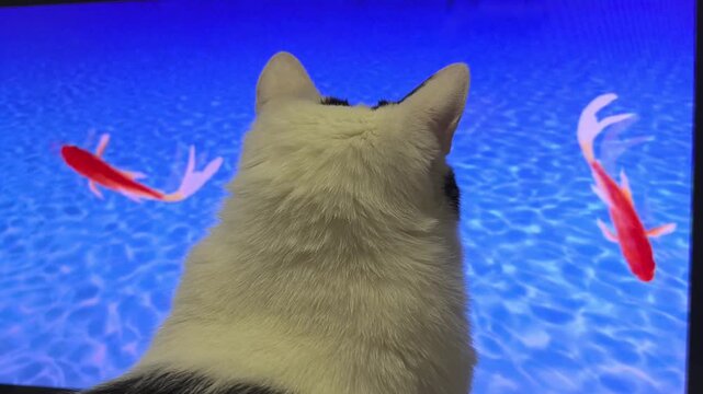 In a cozy living room, a curious cat watches and interacts with lively fish swimming across a bright screen. The playful movement captures the cat's full attention.