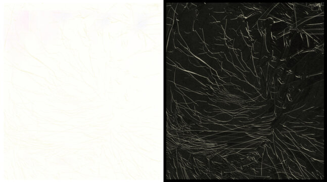 Abstract organic texture with fibrous root patterns, monochrome microscopic biological structure, intricate dark neural network background