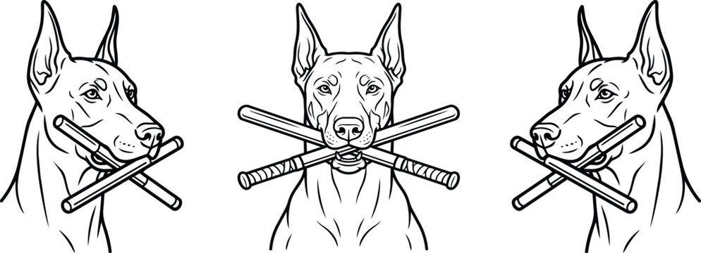 Three doberman pinscher dog heads biting crossed nunchaku sticks in line art style for martial arts or guard dog themed mascot design graphics.