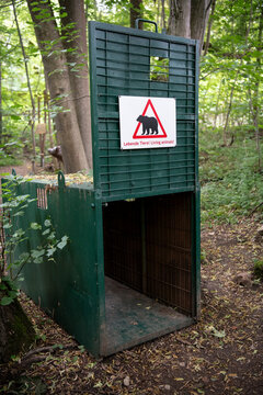 Massive, sichere  Transportbox f&uuml;r gr&ouml;&szlig;ere Wildtiere, wie zum Beispiel B&auml;ren