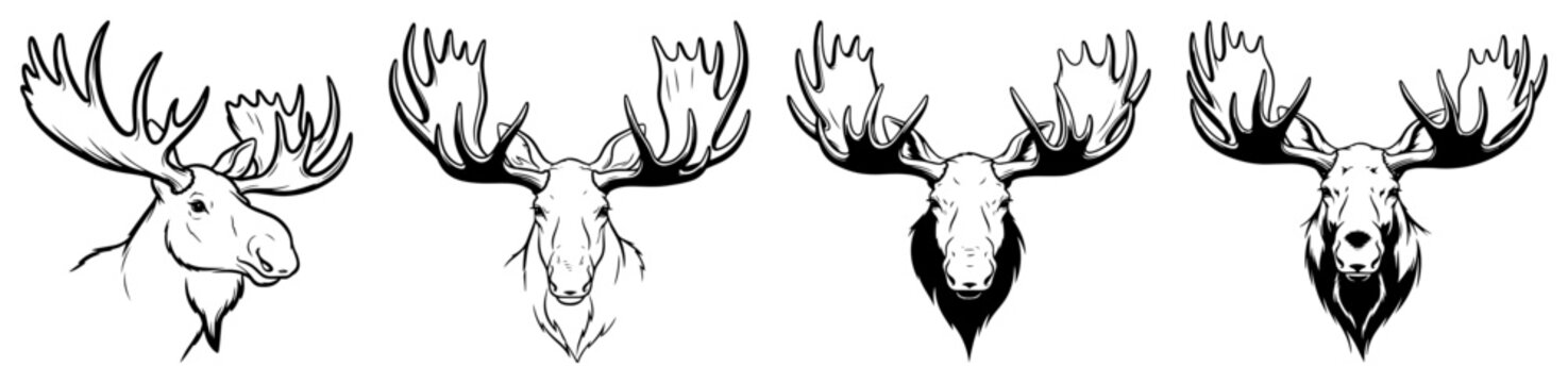 Moose head and antlers set illustration elk trophy hunting symbols collection forest animal head icons wildlife nature sketch black and white vector art