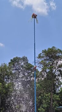 Mexico City, Mexico: 2.7.2026: The Voladores de Papantla perform their breathtaking UNESCO-recognized flying ceremony beside a fountain in Mexico City. Suspended from a towering ceremonial pole, the p