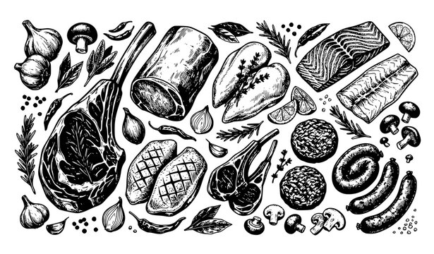 Gourmet Raw Meat Flat Lay Collection Dark Engraved Food Vector Illustration