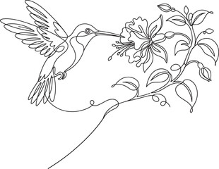 Hummingbird drinking nectar from a flower © Mahmudul