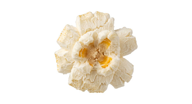 Close-up macro view of a single popped popcorn kernel with its fluffy texture