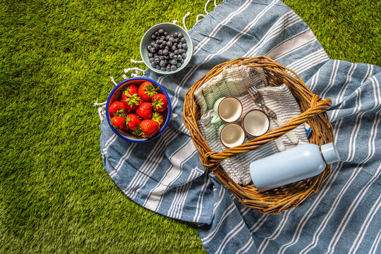 Summer picnic spread with fresh berries and drinks on a grassy lawn