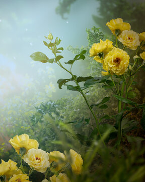 Fantasy garden with yellow rose flowers in magical blooming misty fairy tale forest, fairytale floral foggy artistic vertical background design, beautiful tranquil landscape scene, dreamy atmosphere.