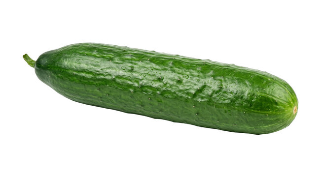 Fresh green cucumber with water droplets on its textured skin, isolated on white