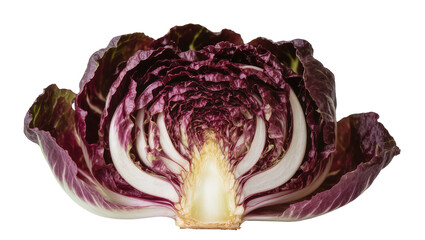 Obraz premium Isolated fresh red radicchio chicory vegetable cut in half revealing its vibrant inner leaves