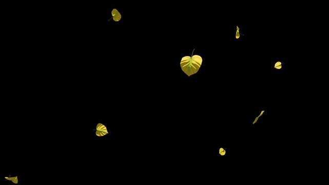 Linden Leaves Falling on Transparent Background - seamless loop 4K