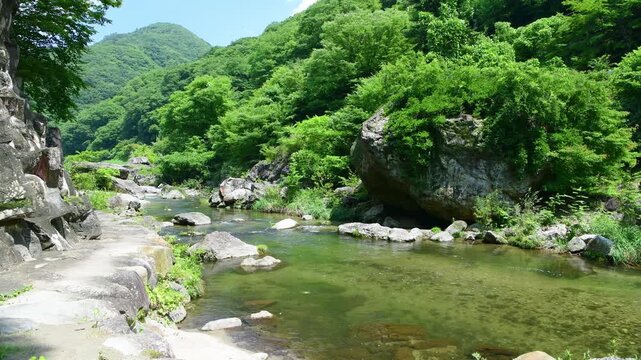 栃木県日光市　夏の川治温泉に流れる男鹿川