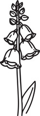 A delicate line drawing of a foxglove plant, showcasing its unique bell-shaped flowers and slender stem, presented in a minimalist artistic style. © DesignINKZ