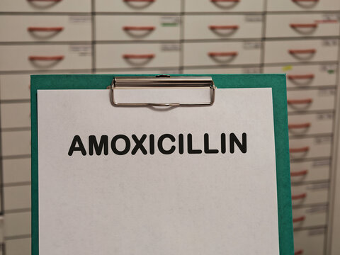 AMOXICILLIN aminopenicillin antibiotic for bacterial infections displayed on a clipboard in a pharmacy