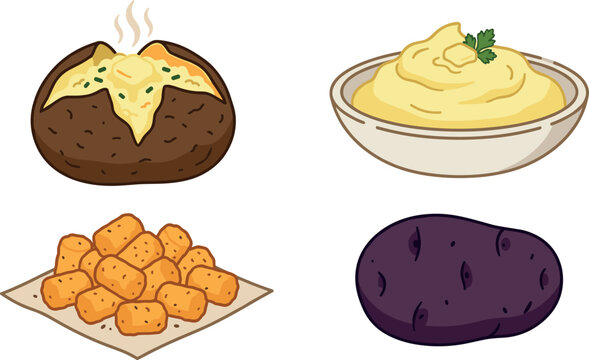 Delicious Potato Side Dish Vector Collection Featuring Hot Baked Jacket Potato Creamy Mashed Potatoes Crispy Tater Tots and Whole Raw Purple Tuber