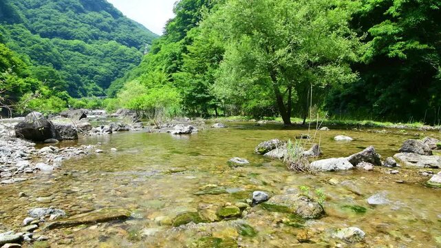 栃木県日光市　夏の川治温泉に流れる男鹿川