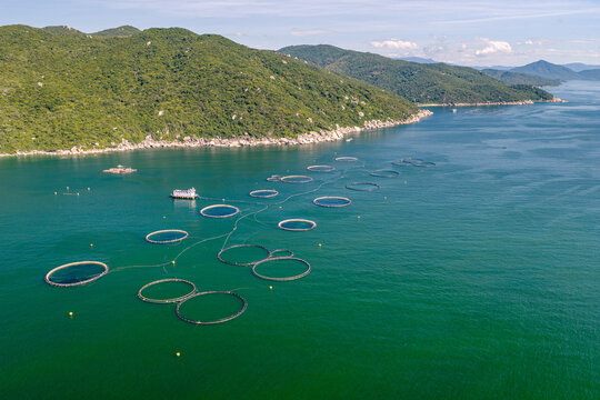 drone view offshore barramundi farm using HDPE cages in Van Phong bay - Khanh Hoa province, central Vietnam