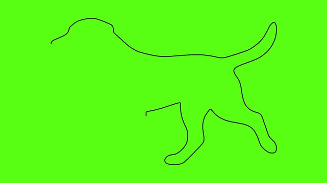 Minimalist outline animation of walking dog isolated on solid green screen background.