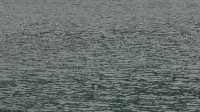 Gray ripples on the water surface