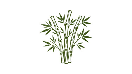 Obraz premium Green bamboo stalks with leaves on white background