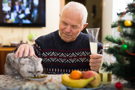 Positive senior man sitting at home table with cat during Christmas celebration