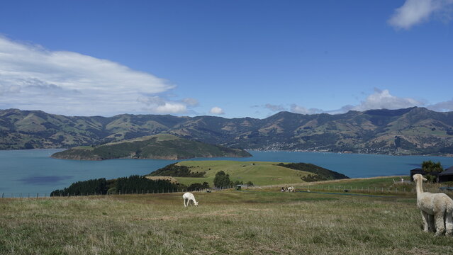New Zealand travelling