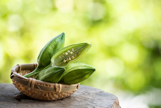 Abelmosk or Abelmoschus moschatus, fresh pods on natural background.