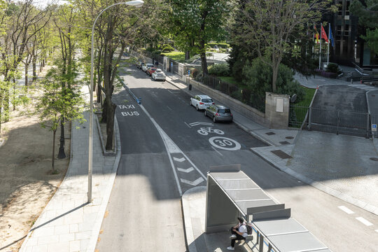 Elevated View of Tree-Lined Urban Street with Bus Stop, Parked Cars, and Government Building