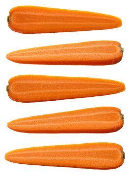 Isolated five fresh raw orange carrot halves cut lengthwise for cooking and healthy eating
