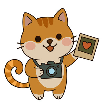 The orange cat with the camera and his photos