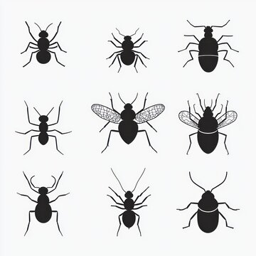 Nine black insect silhouettes arranged in a 3x3 grid showing ants and winged flies, bold flat icons on white background with a clean minimalist and neutral scientific aesthetic