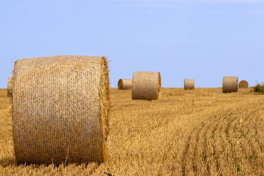 Close-up detailed view of a large round straw bale wrapped in plastic netting in a harvested field under a clear blue sky