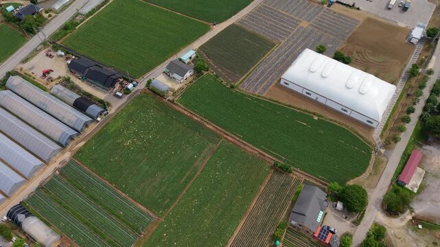 Aerial flyover reveals patchwork of green crop rows, plastic covered rows, greenhouses and farmhouses across rural Gangwon farmland