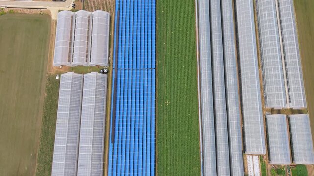 Top down flyover reveals rows of glass greenhouses with blue shaded structures beside striped green vegetable fields in Gangneung farmland