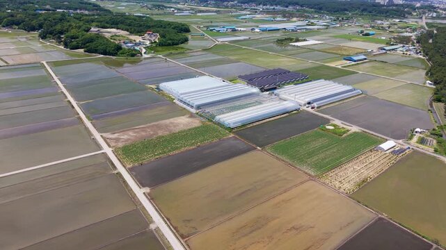Aerial view reveals patchwork of flooded rice paddies and glass greenhouses with solar panel rooftop scattered across Gangneung farmland