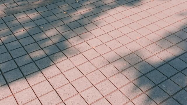 風に揺れる木の影が映るタイル張りの歩道