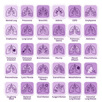 Human Lung Anatomy and Diseases Icons Set Medical Illustration