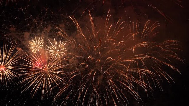 evening of fireworks bliss, bursts of light fill the evening air with excitement, festive lights in the dark, pyrotechnic magic brings smiles during a night to remember, awe-inspiring burst of gold