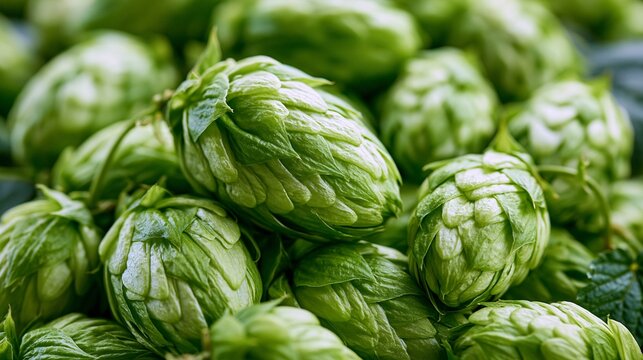 Fresh green hops cones in close-up, densely packed, vibrant natural texture